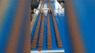 Многорядный экструдер для производства круглых энергетических батончиков
